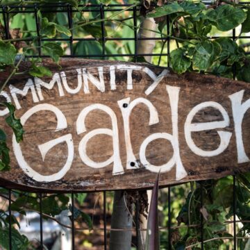 Spring Takes Root in Saskatchewan: Where Gardening Communities Are Gathering and Finding Affordable Seeds and Supplies
