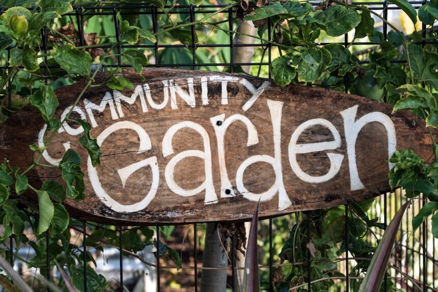 Spring Takes Root in Saskatchewan: Where Gardening Communities Are Gathering and Finding Affordable Seeds and Supplies