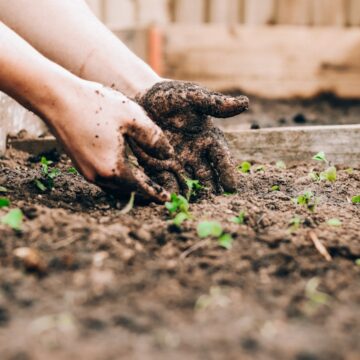10 Practical Spring Gardening Tips for Saskatchewan